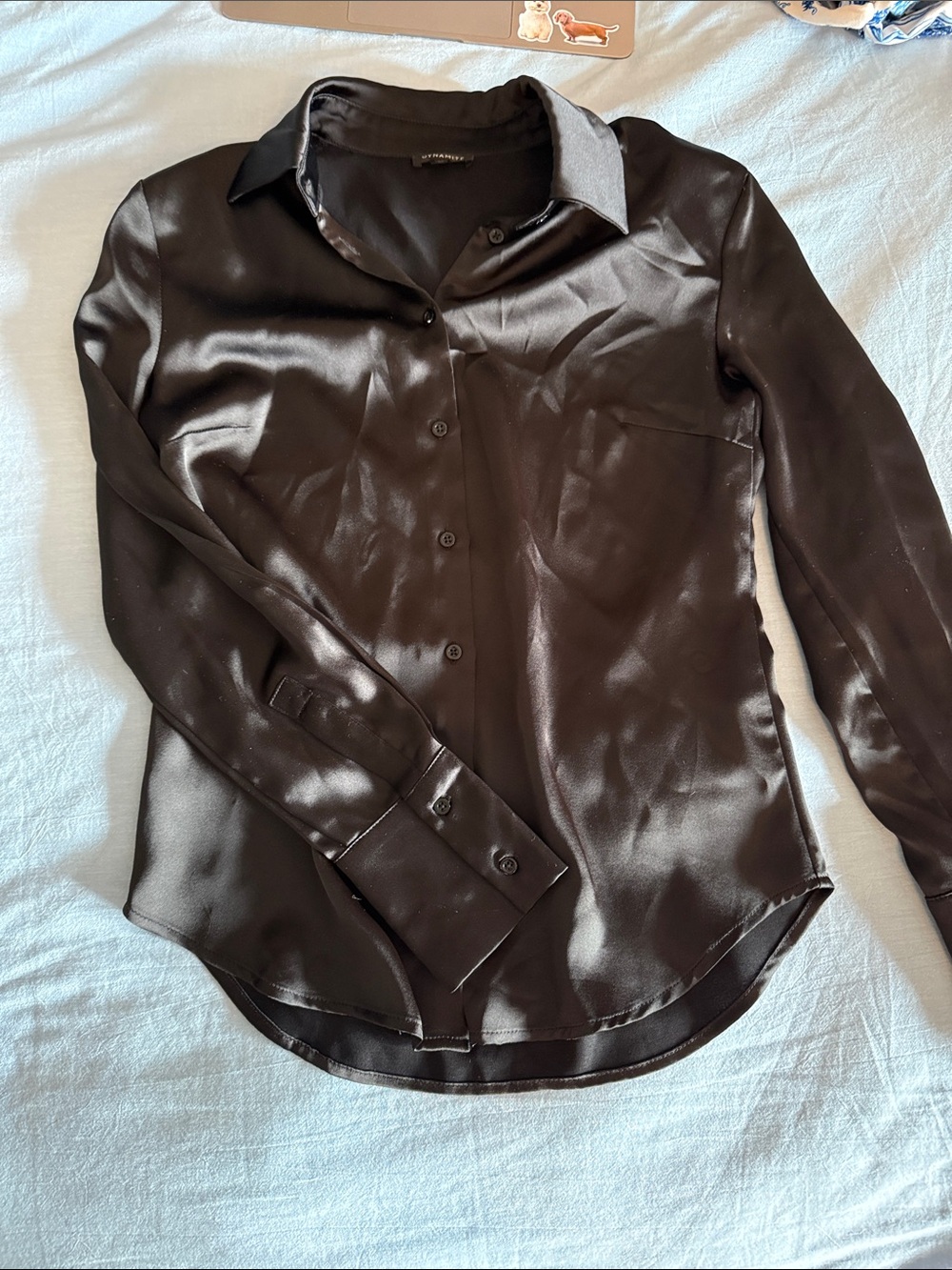 Dynamite Black Satin Button-Front Dress Shirt